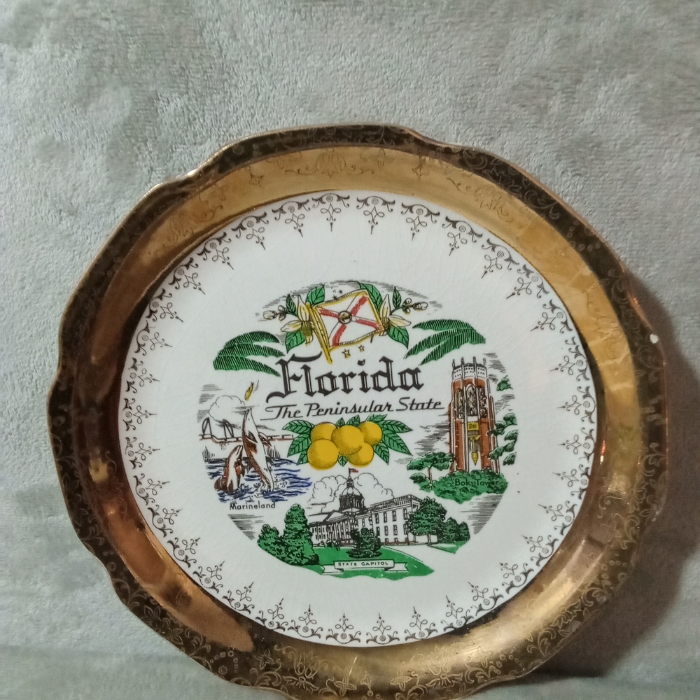 Florida Souvenir Decorative Plate